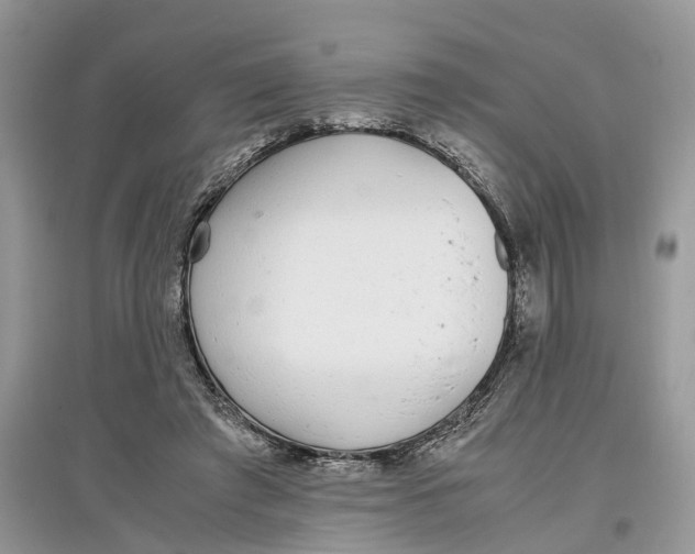 X0000097300401200803071756