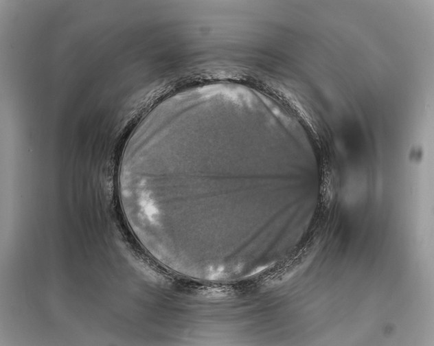 X0000097300402200803071756