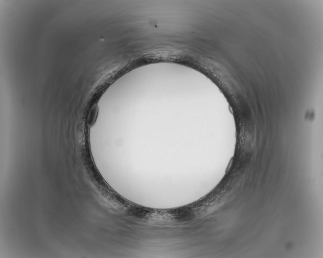 X0000097300403200803071756