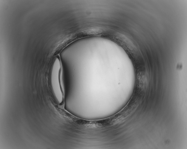 X0000097300404200803071756