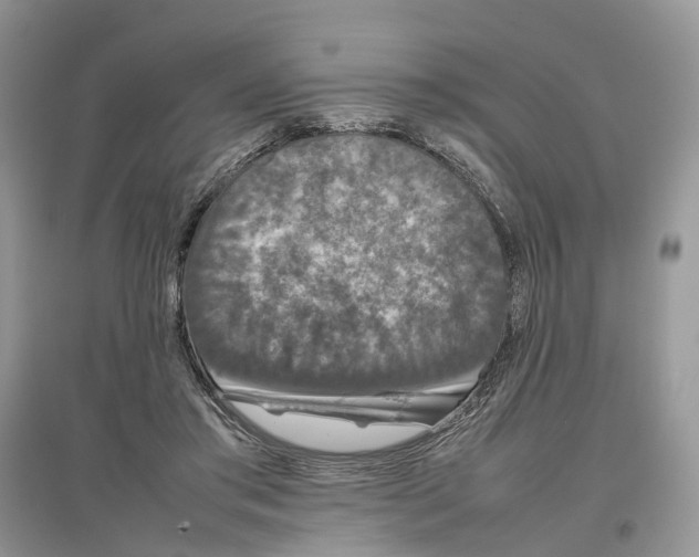 X0000097300405200803071756