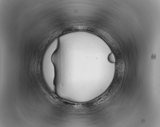 X0000097300406200803071756