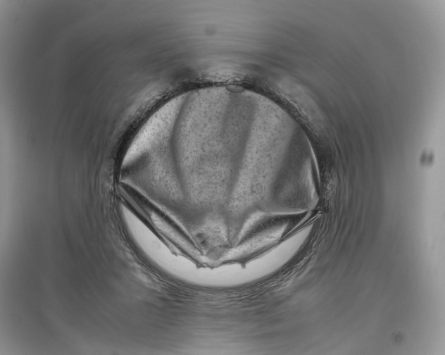 X0000097300407200803071756