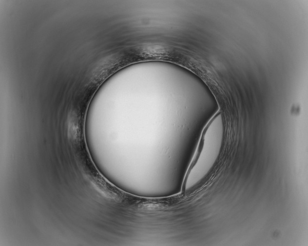 X0000097300408200803071756