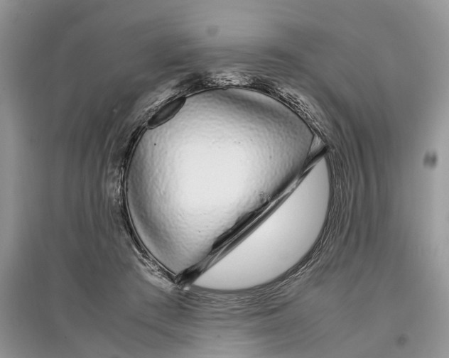 X0000097300409200803071756