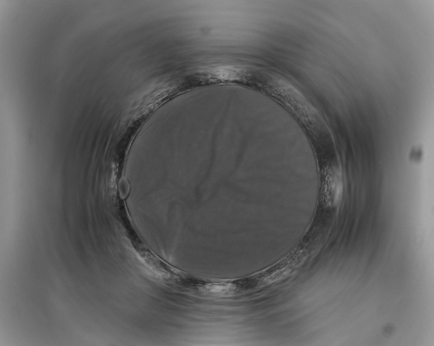 X0000097300410200803071756