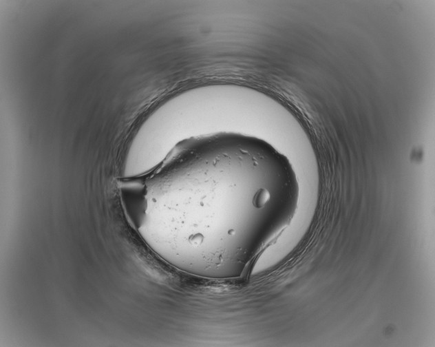 X0000097300411200803071756