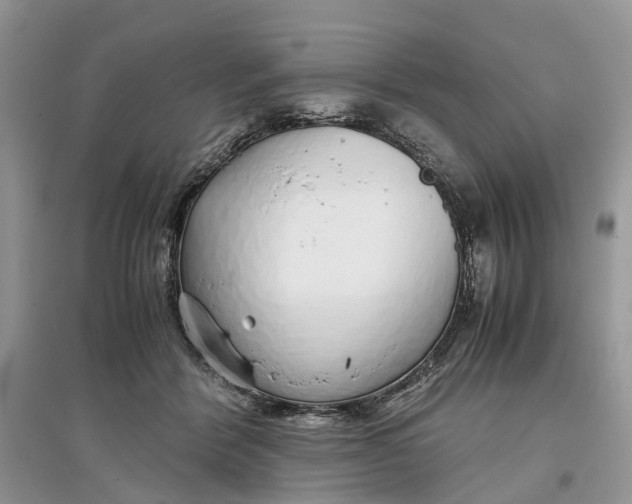 X0000097300412200803071756