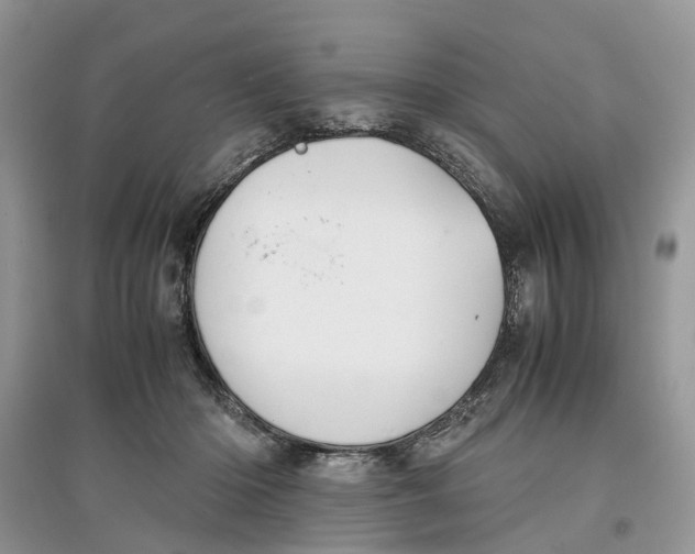 X0000097300414200803071756