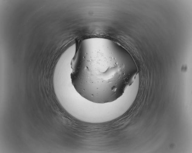 X0000097300415200803071756