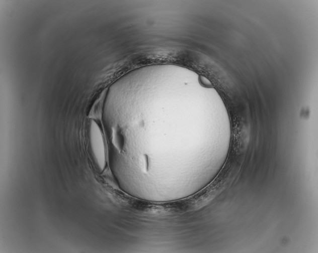 X0000097300416200803071756