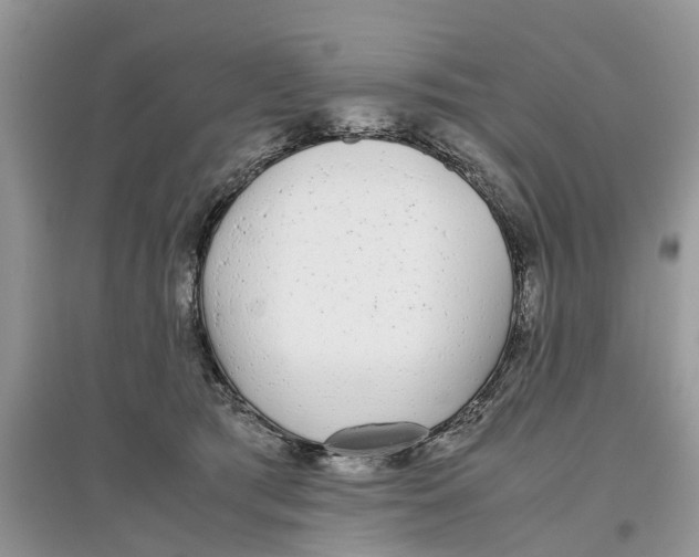 X0000097300417200803071756