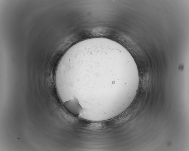 X0000097300418200803071756