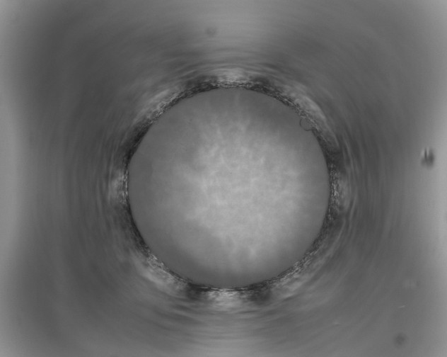 X0000097300419200803071756