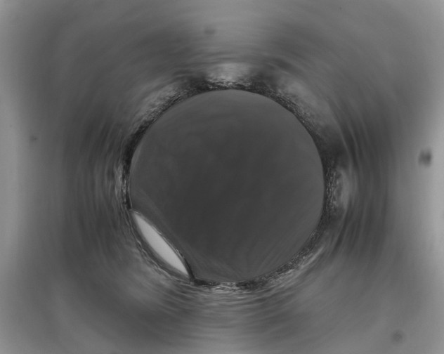 X0000097300420200803071756