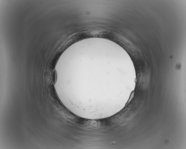 X0000097300421200803071756