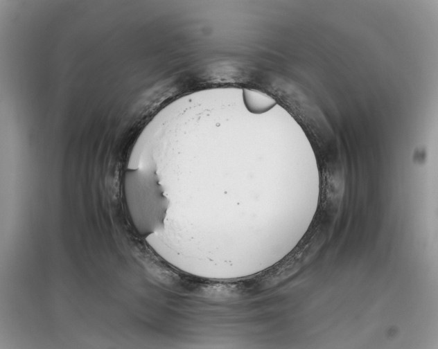 X0000097300422200803071756