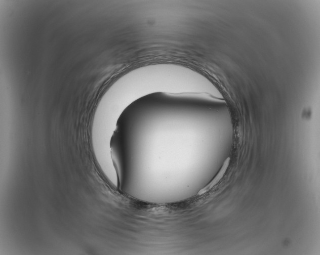 X0000097300423200803071756