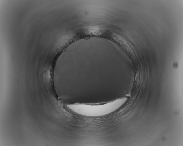 X0000097300424200803071756