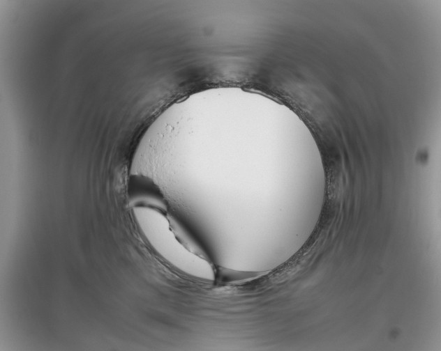 X0000097300425200803071756