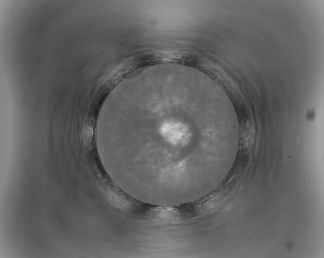 X0000097300427200803071756