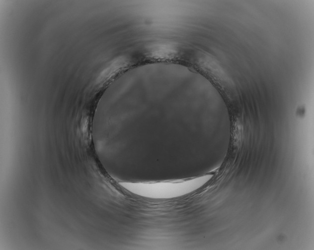 X0000097300428200803071756