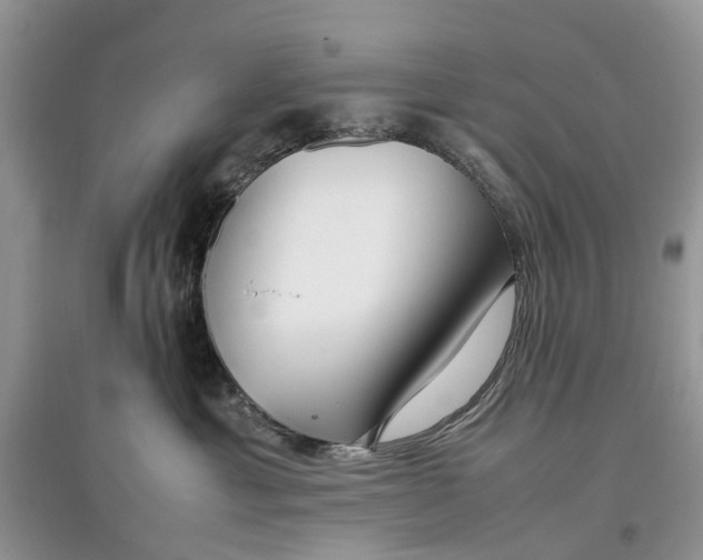 X0000097300429200803071756