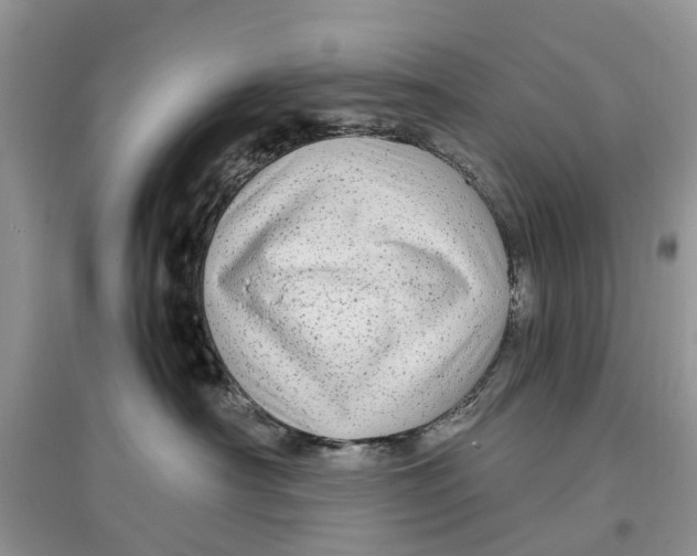 X0000097300430200803071756