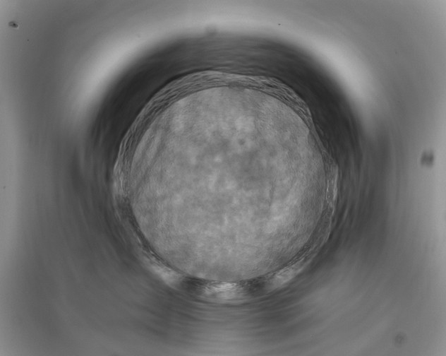 X0000097300431200803071756