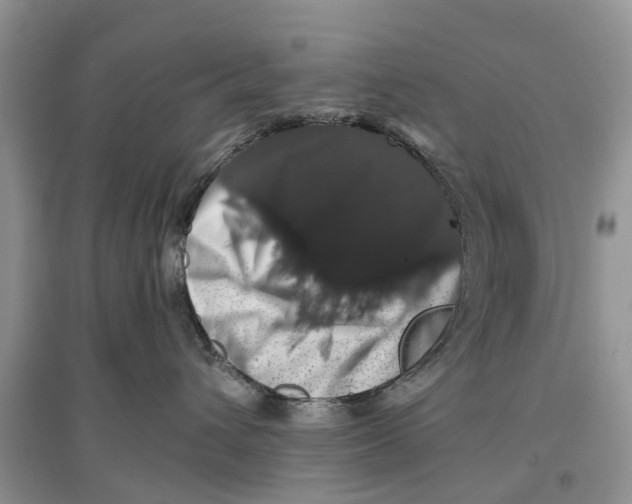 X0000097300432200803071756