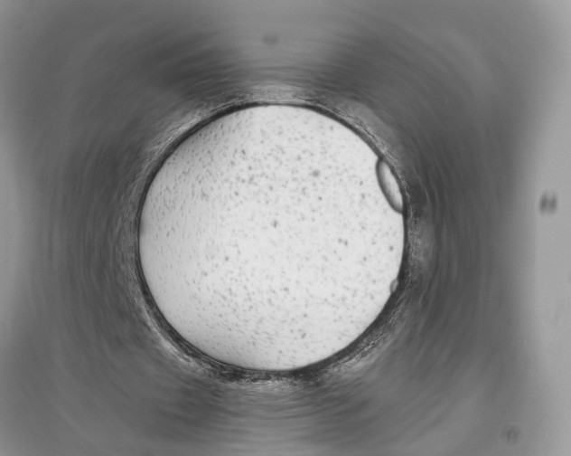 X0000097300433200803071755