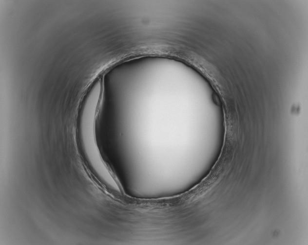 X0000097300434200803071755