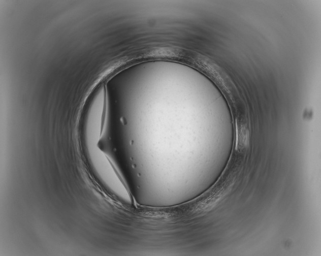 X0000097300435200803071755