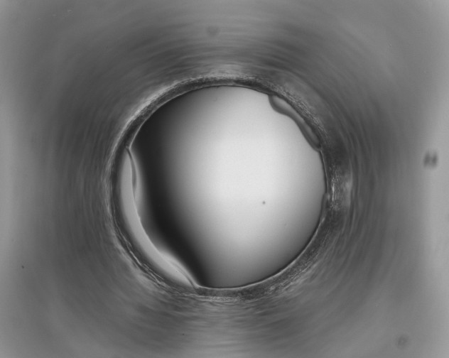 X0000097300436200803071755