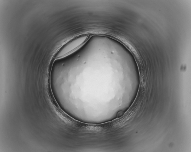 X0000097300437200803071755