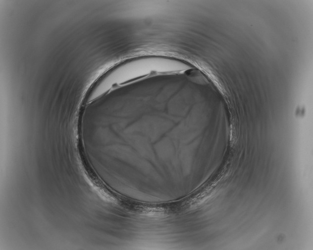 X0000097300438200803071755