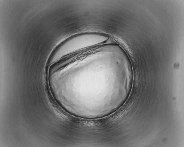 X0000097300439200803071755