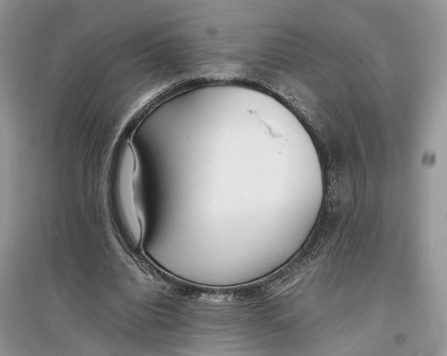 X0000097300440200803071755