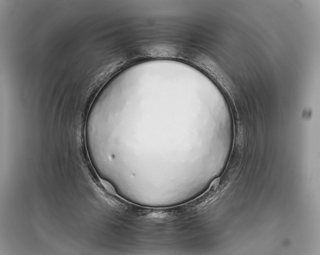 X0000097300441200803071755