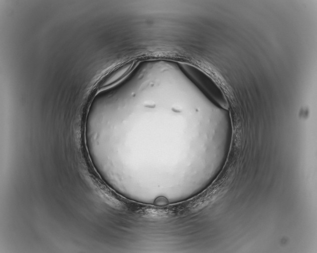 X0000097300442200803071755