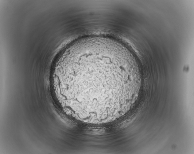 X0000097300443200803071755