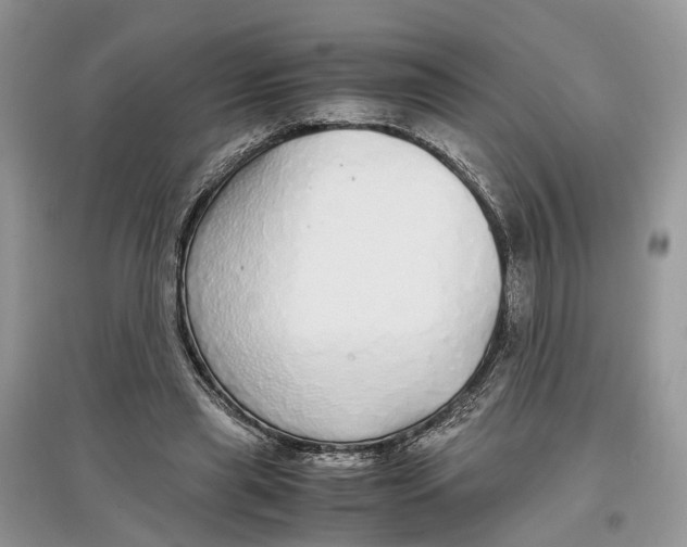 X0000097300445200803071755