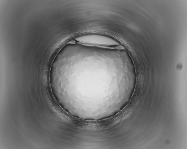 X0000097300446200803071755