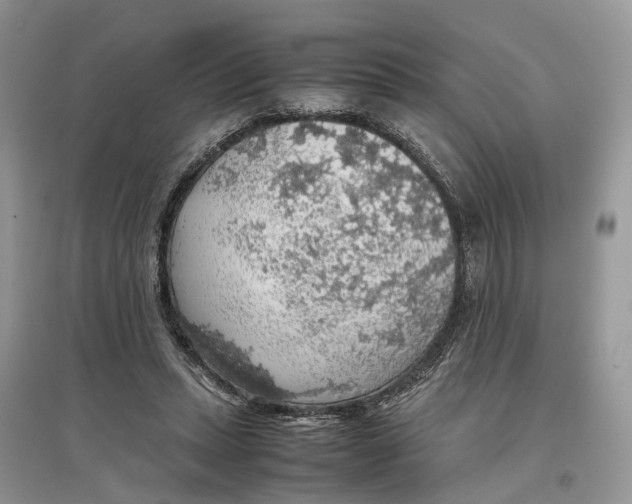 X0000097300447200803071755