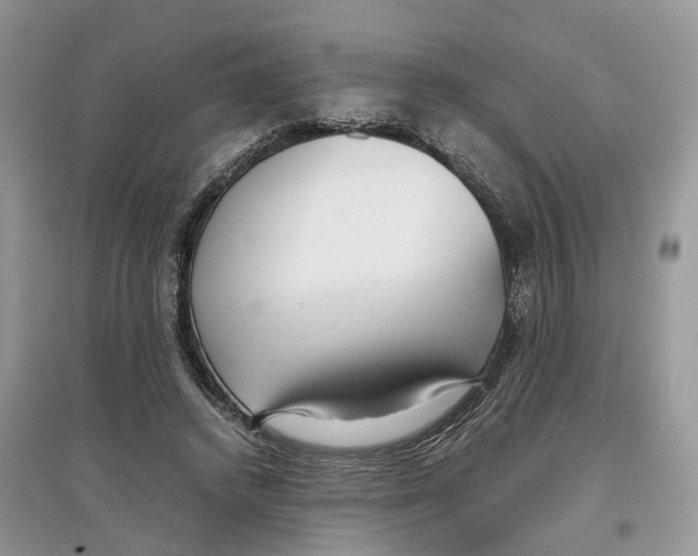 X0000097300448200803071755