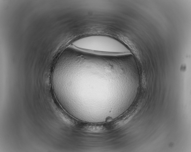 X0000097300449200803071755