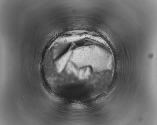 X0000097300451200803071755