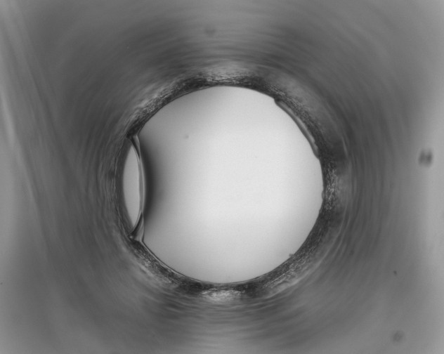 X0000097300452200803071755