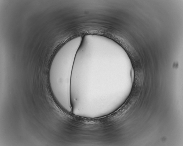 X0000097300453200803071755