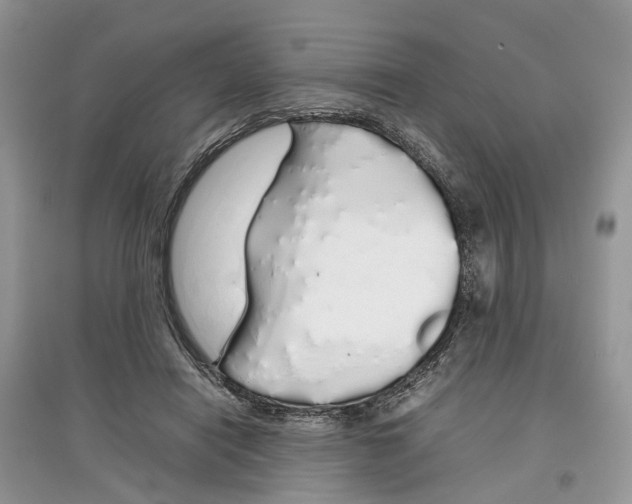 X0000097300454200803071755